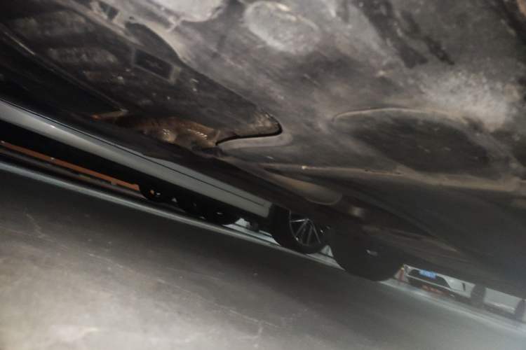 Used Audi Q3 2021 35 TFSI Progressive Dynamic Edition Chassis Rear Right