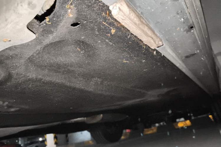 Used Audi Q3 2021 35 TFSI Fashion Dynamic Model Chassis Front Left