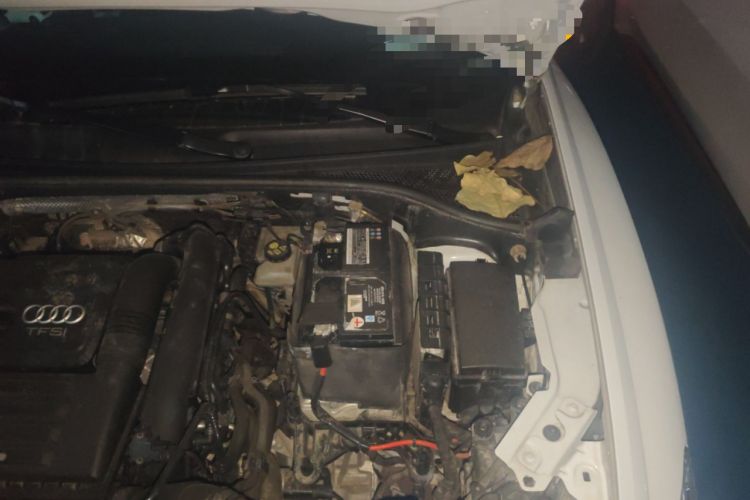 Used Audi Q3 2021 35 TFSI Advanced Style Edition Engine Bay Left