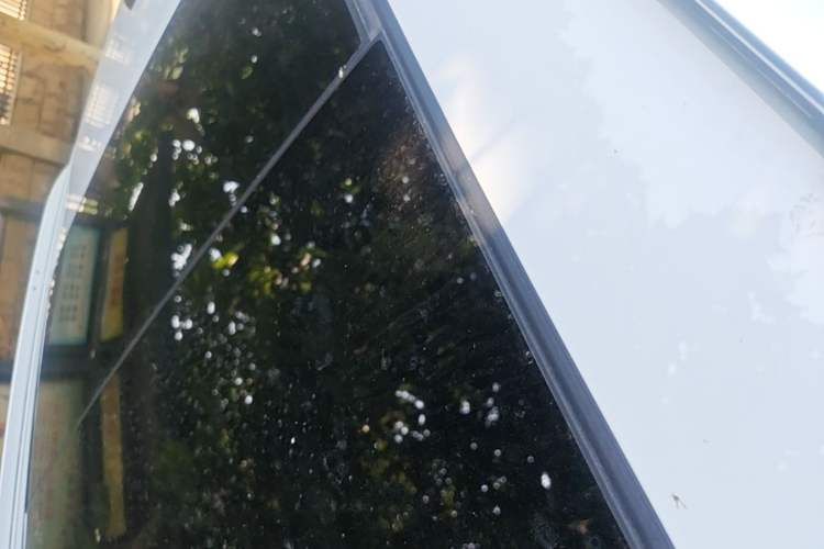 Used Audi Q3 2021 35 TFSI Fashionable and Elegant Model Roof