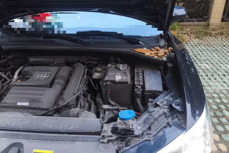 Used Audi Q3 2022 35 TFSI Fashion Dynamic Model Engine Bay Left