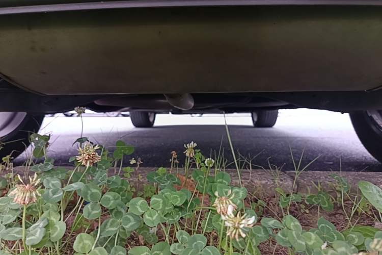 Used Audi Q3 2022 35 TFSI Fashion Dynamic Model Chassis Rear