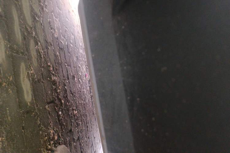 Used Audi Q3 2023 35 TFSI Fashion Dynamic Model (1.4T) Chassis Rear