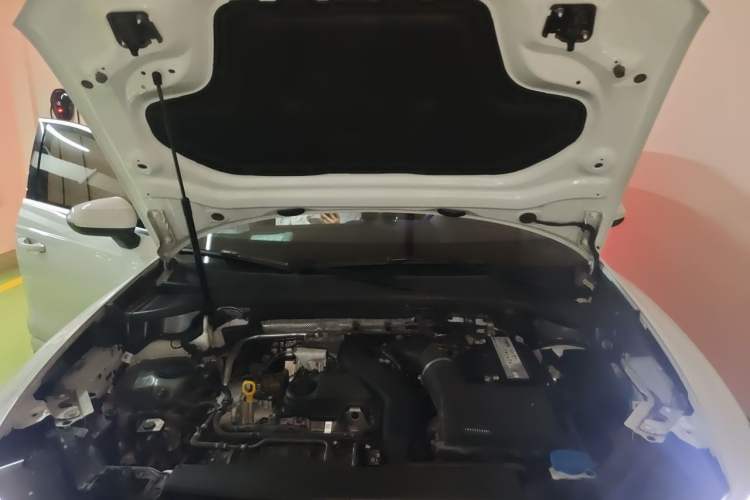 Used Audi Q3 2023 35 TFSI Fashion Dynamic Model (1.5T) Engine Bay