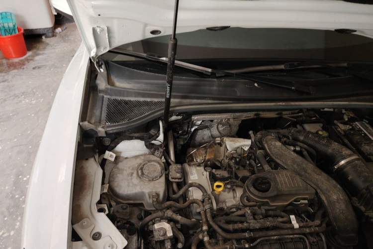 Used Audi Q3 2023 35 TFSI Fashion Dynamic Model (1.5T) Engine Bay Right