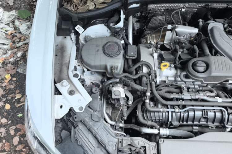 Used Audi Q3 2024 35 TFSI Fashion Dynamic Edition Engine Bay Right