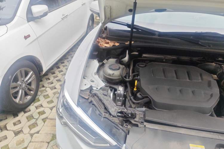 Used Audi Q3 2024 40 TFSI Fashion Dynamic Model Engine Bay Right
