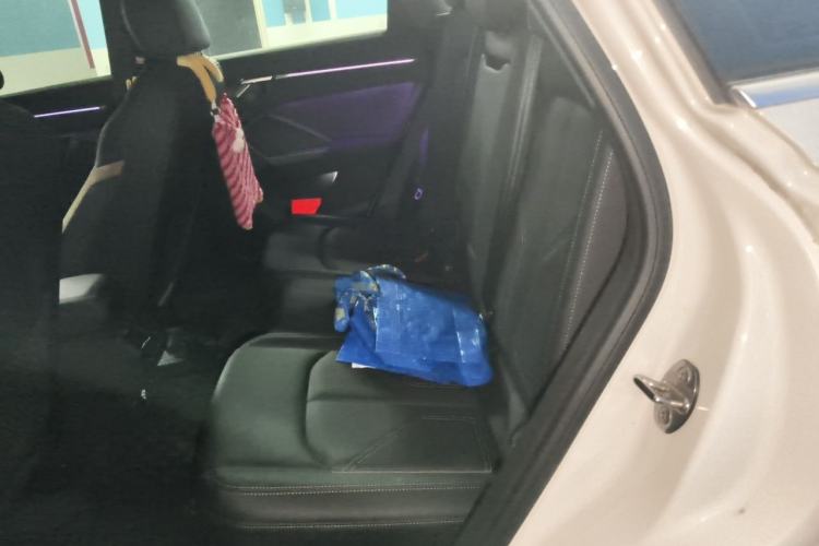 Used Audi Q3 2024 35 TFSI Stylish and Elegant Edition Left Rear Seat