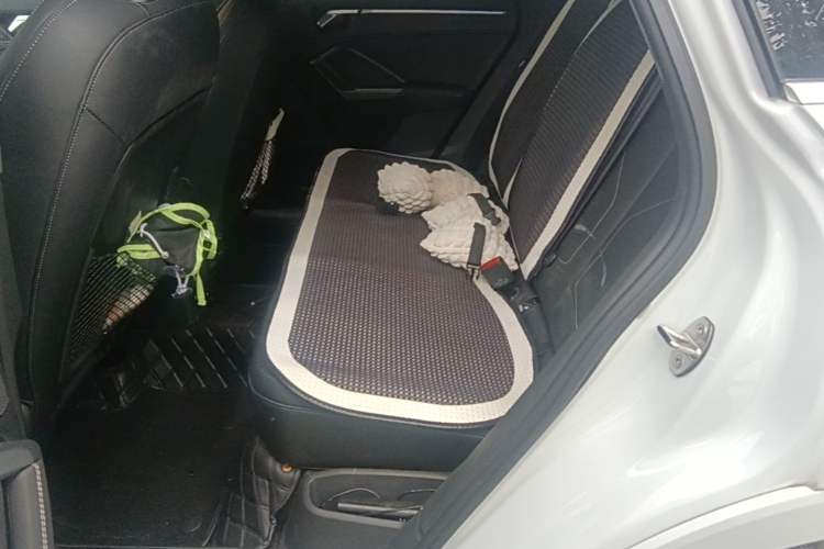 Used Audi Q3 2024 35 TFSI Fashion Dynamic Edition Left Rear Seat