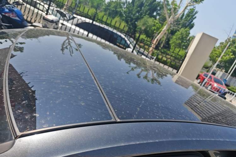 Used Audi Q3 Sportback 2020 40 TFSI Fashion Model Roof
