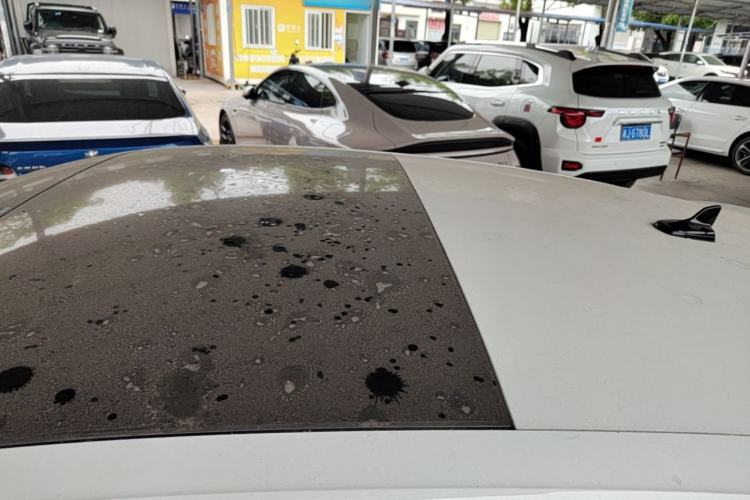 Used Audi Q3 Sportback 2020 40 TFSI Fashion Model Roof