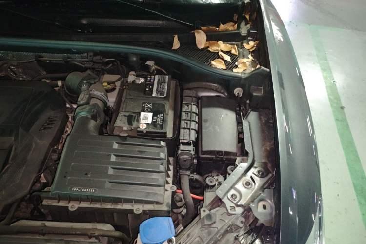 Used Audi Q3 Sportback 2023 40 TFSI Fashion Model Engine Bay Left