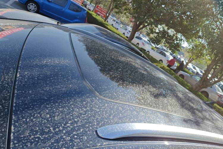 Used Audi Q4 e-tron 2022 50 e-tron quattro Visionary Edition Roof
