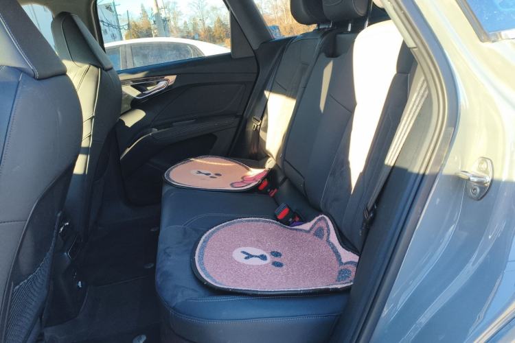 Used Audi Q4 e-tron 2023 40 e-tron Boundary Edition Left Rear Seat