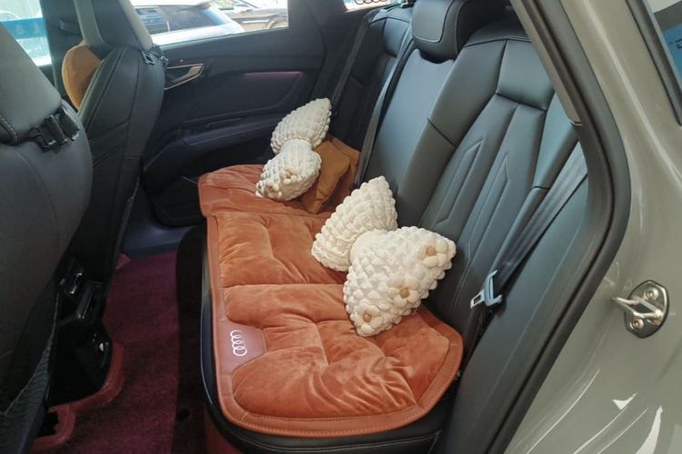 Used Audi Q4 e-tron 2023 40 e-tron Boundary Edition Left Rear Seat