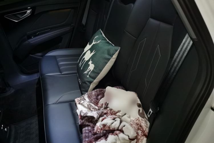 Used Audi Q4 e-tron 2024 40 e-tron Boundary Edition Left Rear Seat