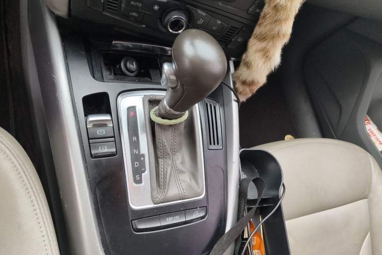 Used Audi Q5 2010 2.0TFSI Trendy Edition Gear Lever