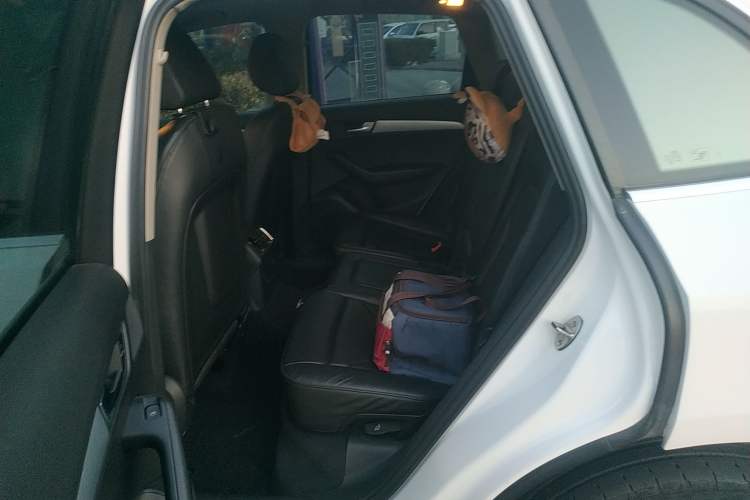 Used Audi Q5 2010 2.0TFSI Technology Edition Left Rear Seat