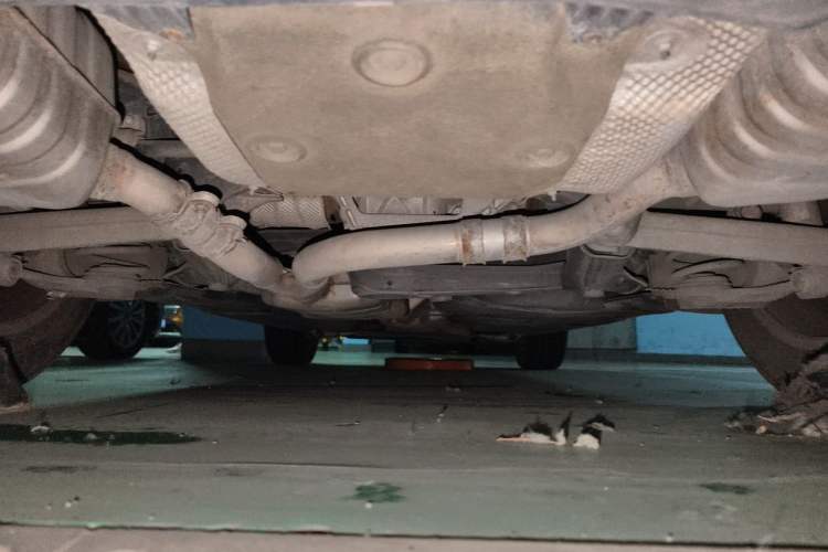 Used Audi Q5 2011 2.0TFSI Technology Model Chassis Rear