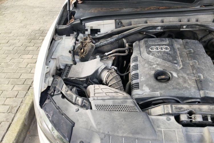 Used Audi Q5 2011 2.0TFSI Comfort Version Engine Bay Right