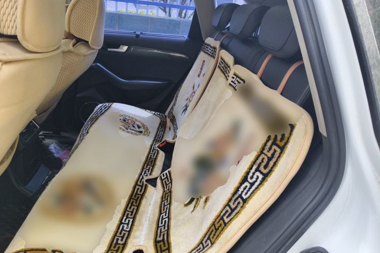 Used Audi Q5 2011 2.0TFSI Dynamic Edition Left Rear Seat