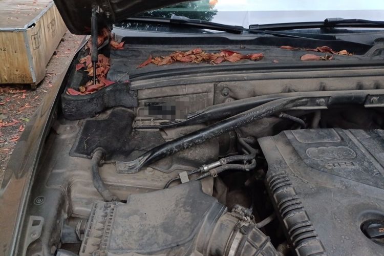 Used Audi Q5 2011 2.0TFSI Comfort Version Engine Bay Right