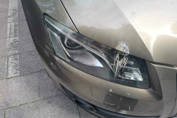 Used Audi Q5 2012 2.0TFSI Comfort Version Right Front Headlight