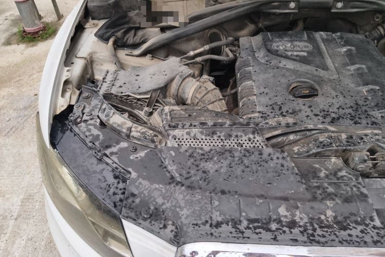 Used Audi Q5 2012 2.0TFSI Technology Model Engine Bay Right