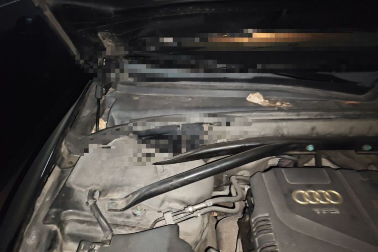 Used Audi Q5 2013 40 TFSI Technology Edition Engine Bay Right
