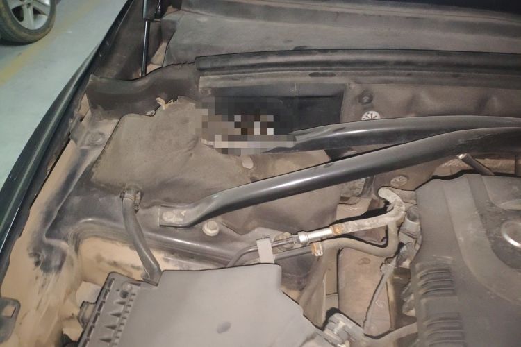 Used Audi Q5 2013 40 TFSI Technology Edition Engine Bay Right