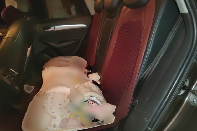 Used Audi Q5 2013 40 TFSI Technology Edition Left Rear Seat
