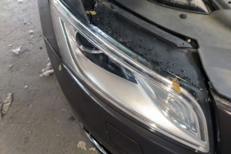 Used Audi Q5 2013 40 TFSI Technology Edition Right Front Headlight