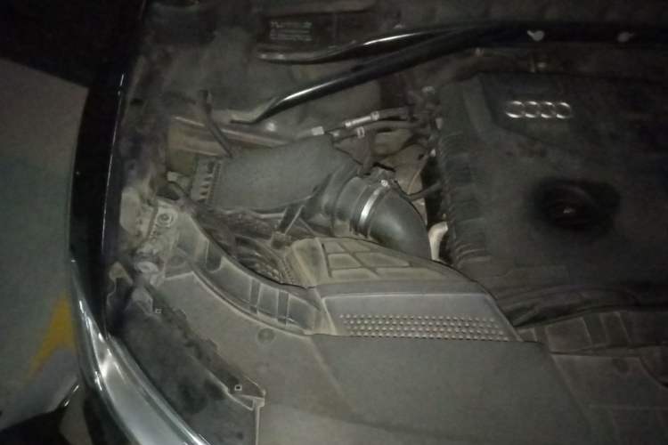 Used Audi Q5 2013 40 TFSI Comfort Edition Engine Bay Right