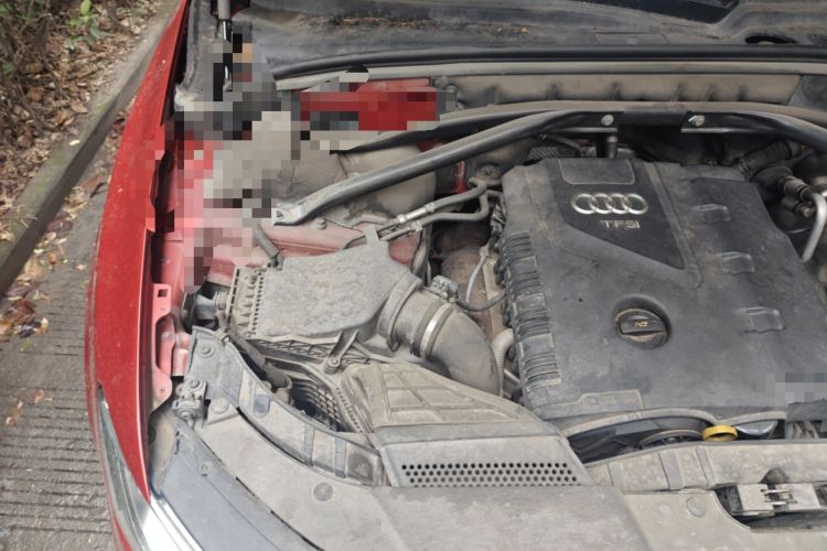 Used Audi Q5 2013 40 TFSI Ambition Engine Bay Right