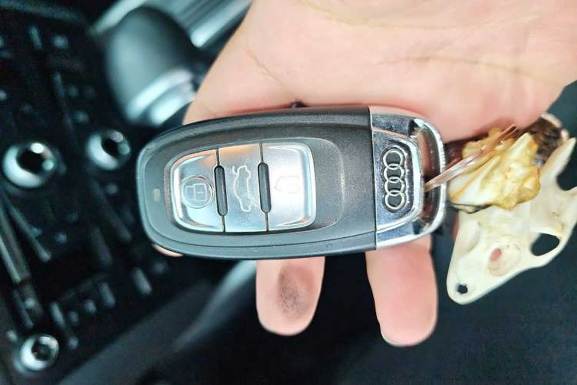 Used Audi Q5 2013 40 TFSI Ambition Vehicle Key