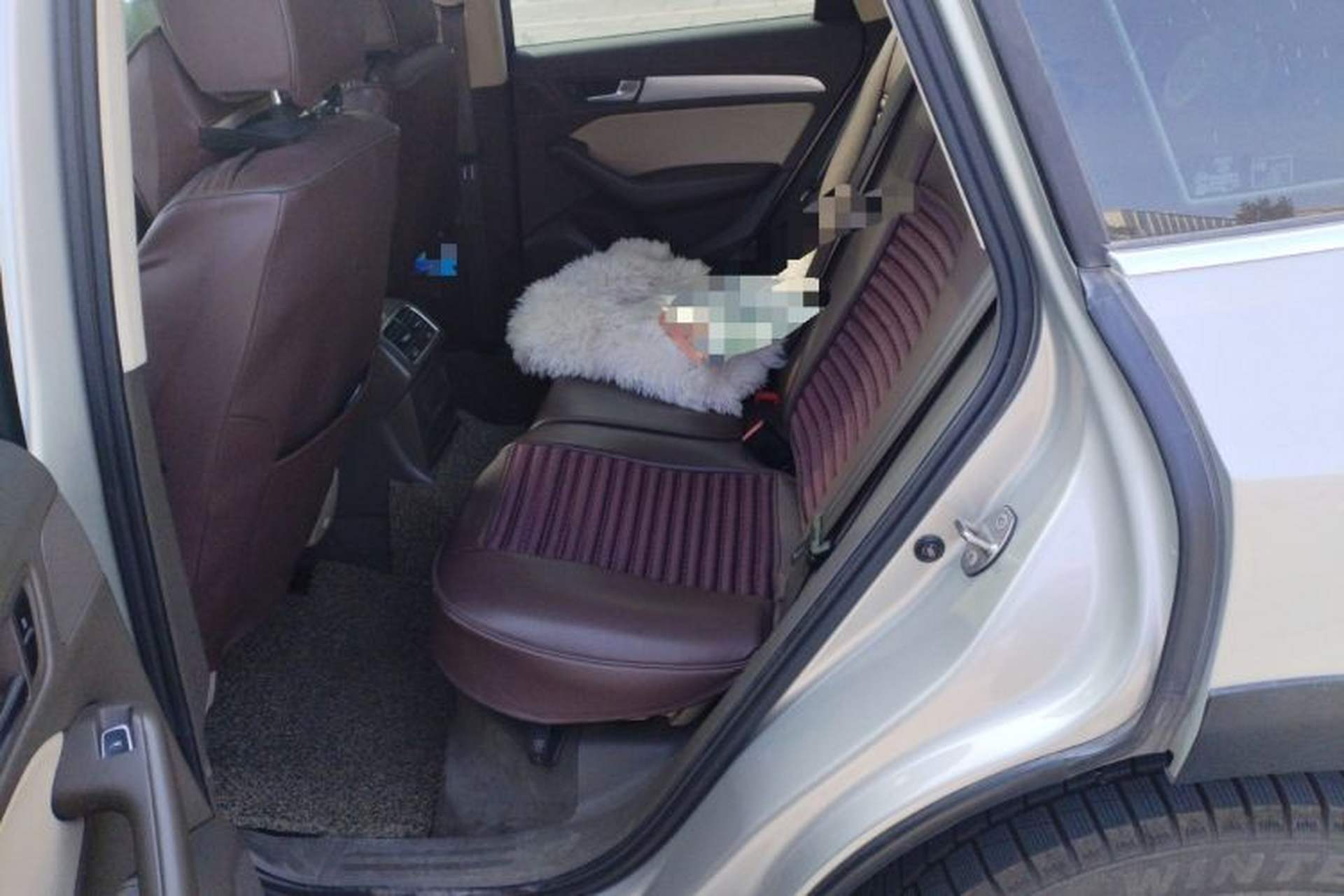 Used Audi Q5 2013 40 TFSI Technology Edition Left Rear Seat