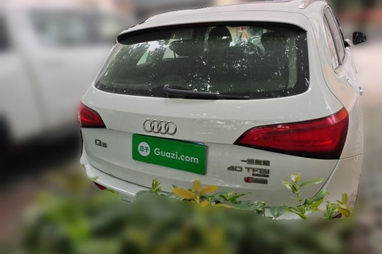 Used Audi Q5 2015 40 TFSI Trendy Edition Rear