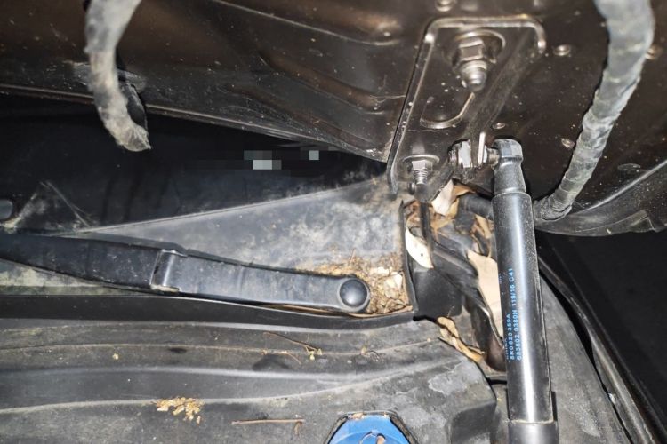 Used Audi Q5 2016 40 TFSI Technology Edition Engine Bay Left