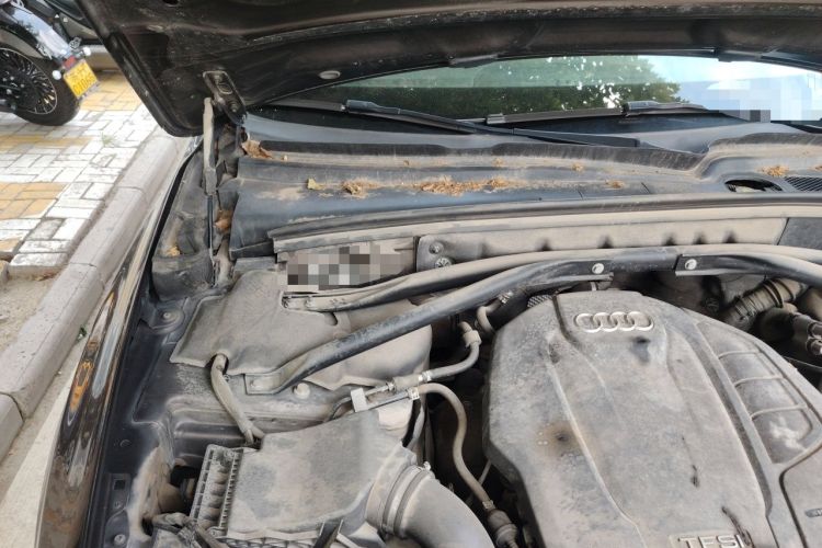 Used Audi Q5 2016 40 TFSI Trendy Edition Engine Bay Right