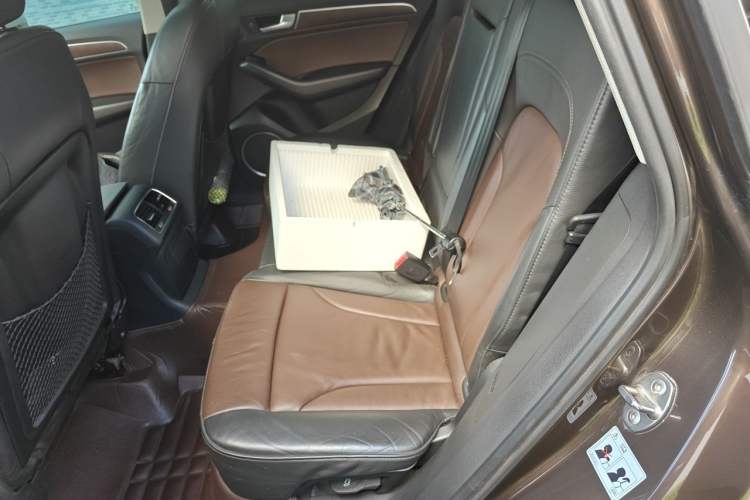 Used Audi Q5 2016 40 TFSI Comfort Model Left Rear Seat