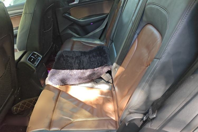 Used Audi Q5 2016 40 TFSI Technology Edition Left Rear Seat