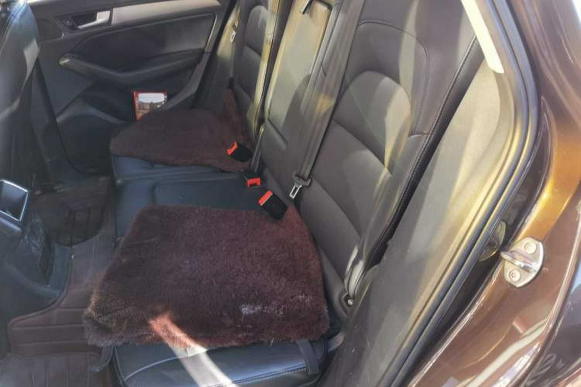 Used Audi Q5 2016 40 TFSI Trendy Edition Left Rear Seat