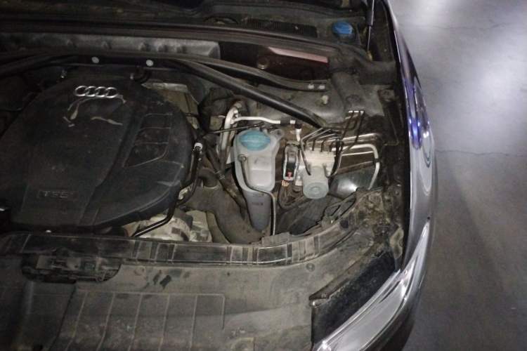 Used Audi Q5 2016 40 TFSI Trendy Edition Engine Bay Left