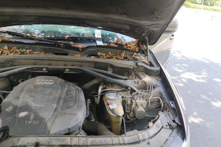 Used Audi Q5 2016 40 TFSI Trendy Edition Engine Bay Left