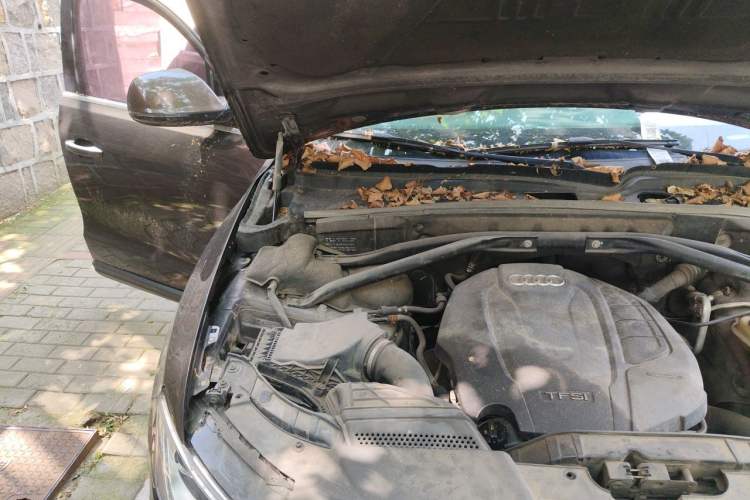 Used Audi Q5 2016 40 TFSI Trendy Edition Engine Bay Right