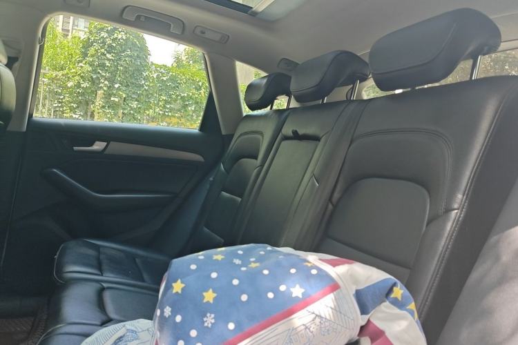 Used Audi Q5 2016 40 TFSI Trendy Edition Left Rear Seat