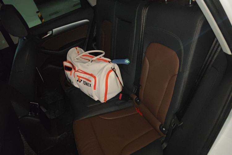 Used Audi Q5 2016 40 TFSI Technology Edition Left Rear Seat