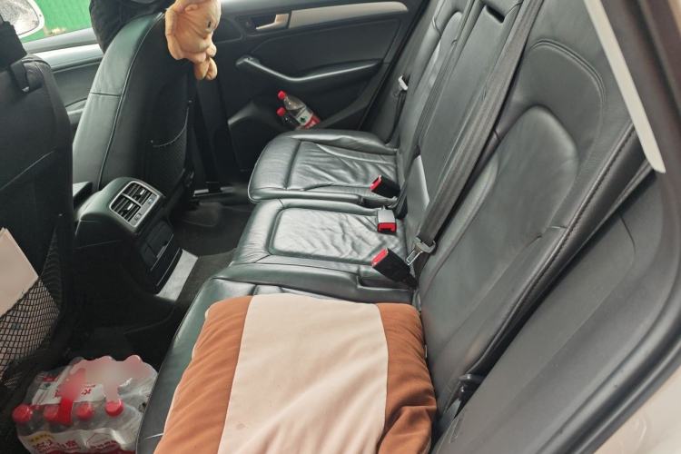 Used Audi Q5 2016 40 TFSI Technology Edition Left Rear Seat