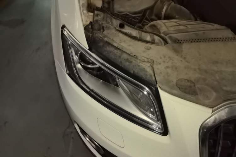 Used Audi Q5 2016 40 TFSI Trendy Edition Right Front Headlight