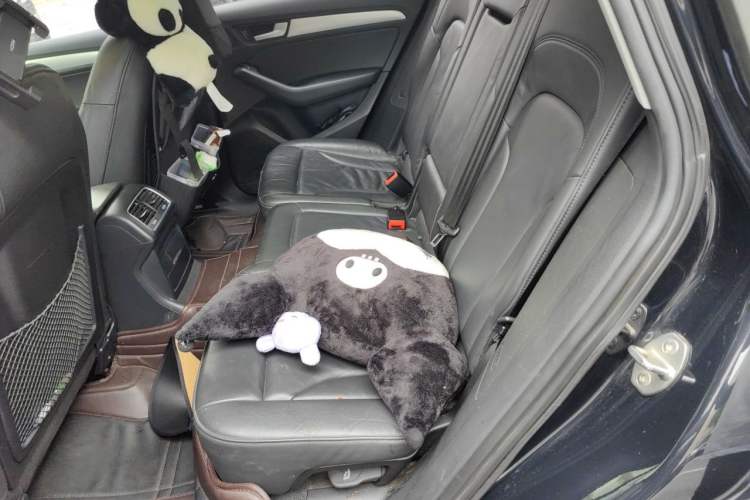 Used Audi Q5 2017 40 TFSI Technology Edition Left Rear Seat